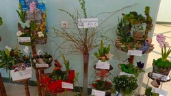 Экспозиция Краснояружского района отмечена жюри областной выставки «Приближая дыхание весны»