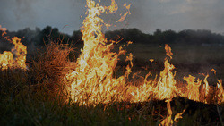 Белгородские власти объявили особый противопожарный режим на территории региона