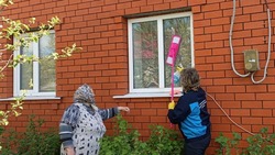 Краснояружцы приняли участие в акции «Чистые окна»