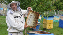 Житель Краснояружского района увеличил количество пчелосемей благодаря соцконтракту