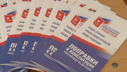 Белгородская область заняла 3 место в ЦФО по явке на голосовании по правкам в Конституцию