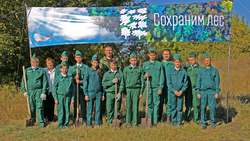 Ракитянцы высадят порядка 4 000 деревьев на территории Дмитриевского поселения