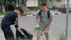 Вячеслав Гладков сообщил о 1 тыс. работающих на осенних каникулах школьниках