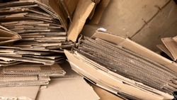 Белгродцы сдали на переработку 5,6 тонны макулатуры в рамках акции «БумБатл» 