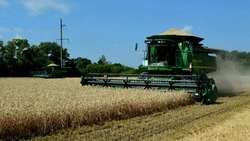 Ракитянский агрохолдинг «БЭЗРК-Белгранкорм» вошёл в рейтинг авторитетного издания РБК 500 