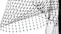 Вячеслав Гладков – о работе по установке антидроновой сетки