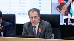 Вячеслав Гладков озвучил основные решения оперативного заседания Правительства области