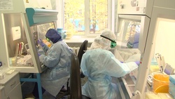 Белгородские власти предложили новые меры поддержки врачам в ковид-госпиталях
