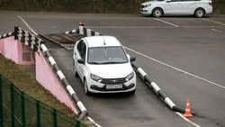 Вячеслав Гладков: школьная программа обучения водителей повысила уровень трудоустройства в 2025 году