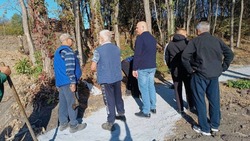 Ракитянцы приняли участие в акции «Дни защиты от экологической опасности»