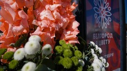 Белоблводоканал займётся поливом клумб на фестивале «Белгород в цвету»