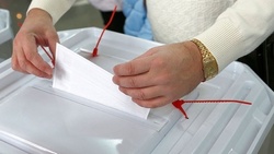 Явка ракитянцев на выборах в Белгородскую областную Думу составила более 88%
