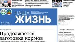 Газета «Наша жизнь» №35 от 28 августа 2025 года