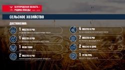 Вячеслав Гладков: «В 2024 году господдержка АПК Белгородской области превысила 4,6 млрд рублей»