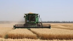 Аграрии Белгородской области подвели итоги уборочной кампании