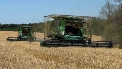 Работники ракитянского агрохолдинга «БЭЗРК-Белгранкорм» приступили к уборке урожая
