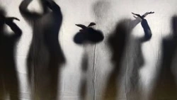Ракитянцы посетили мастер класс «Театр теней или как приручить тень»