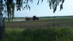 Специалисты ракитянского управления АПК и природопользования побывали в фермерских хозяйствах