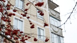 Как помогают с жильём пострадавшим жителям белгородского приграничья