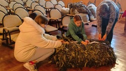 Жители Ракитянского района изготовили маскировочные сети