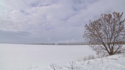 Белгородские аграрии прокомментировали пользу снегопада для будущего урожая