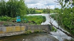 Специалисты приступили к ремонту гидротехнического сооружения в Ракитянском районе