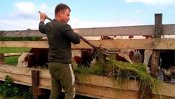 Ракитянская семья занялась развитием личного подсобного хозяйства благодаря программе «Содействие»