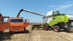 Ракитянские аграрии полностью завершили обмолот ранних зерновых и зернобобовых культур