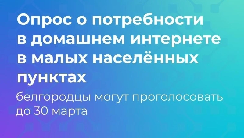 Белгородцы могут пройти опрос о потребности в домашнем интернете в малых населённых пунктах