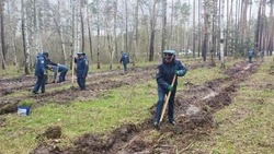 Белгородские спасатели высадили парк в честь грядущего 100-летия государственного пожнадзора