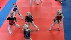 Ракитянские спортсмены побывали на масштабном мастер-классе