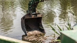 Вячеслав Гладков: В Белгородской области введут единые дни экологии