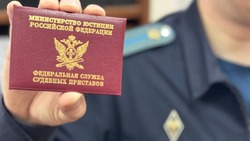 Суд взыскал с жителя Краснояружского района долг за обучение