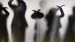 Ракитянцы посетили мастер класс «Театр теней или как приручить тень»