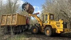 Ракитянский округ поддержал региональный экологический флешмоб #Экочеллендж31