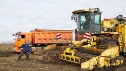 Вячеслав Гладков подвел итоги развития аграрной сферы в Белгородской области