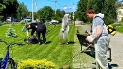 Ракитянские школьники смогут трудоустроиться на период летних каникул