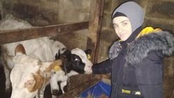 Жительница Ракитянского района благодаря помощи государства развивает личное подсобное хозяйство