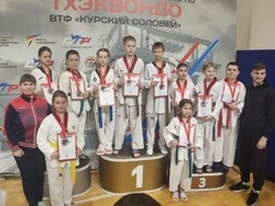 Ракитянские тхэквондисты побывали на соревнованиях в Курске