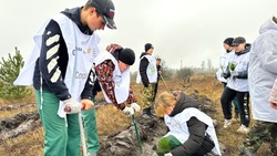 Жители Ракитянского района приняли участие в акции «Сохраним лес»