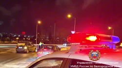 Белгородские полицейские рассказали об аварийности на дорогах в 2024 году
