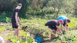 Ракитянские школьники продолжат посещать лагеря труда и отдыха