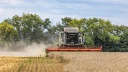 Вячеслав Гладков сообщил о завершении сезонных работ белгородскими аграриями