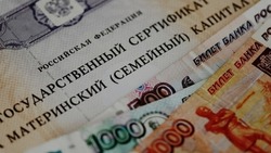 Белгородские власти объяснили правила получения выплат матерям двойни и тройни 