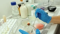 Лаборатория ветстанции по Ракитянскому и Краснояружскому районам прошла испытания