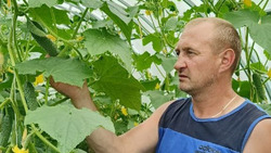 Фермер из Краснояружского района стал участником программы «Содействие»