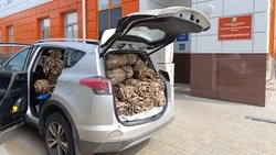 Сотрудники Ракитянского агротехнологического техникума продолжат реализацию проекта «Тепло для СВО» 
