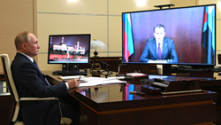 Рабочая встреча Владимира Путина и Вячеслава Гладкова прошла в режиме видеосвязи