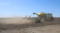 Посевная кампания в Ракитянском округе вышла на финишную прямую