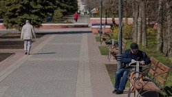 Белгородское правительство провело мониторинг о состоянии рынка труда
